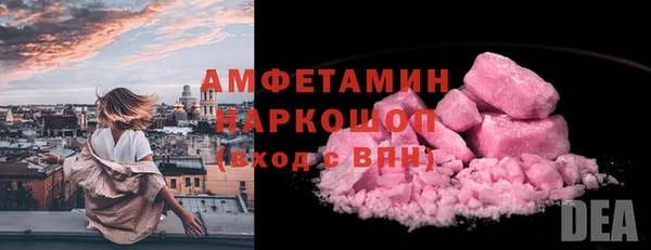 стаф Каменка
