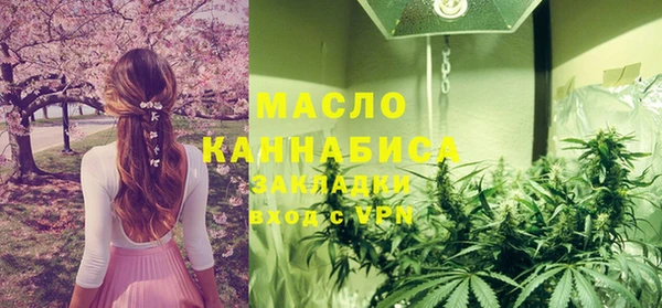 стаф Каменка