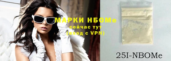 стаф Каменка