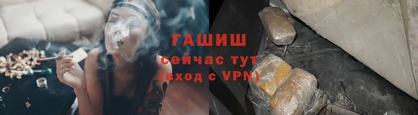 стаф Каменка