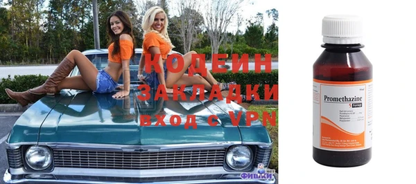стаф Каменка