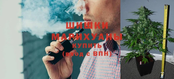 стаф Каменка