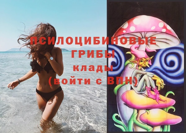 mdma Каменногорск