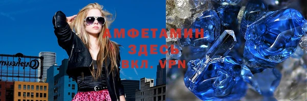 стаф Каменка