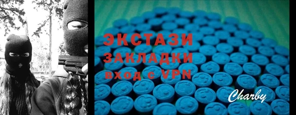 стаф Каменка