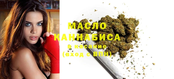 стаф Каменка