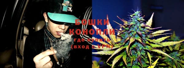 стаф Каменка